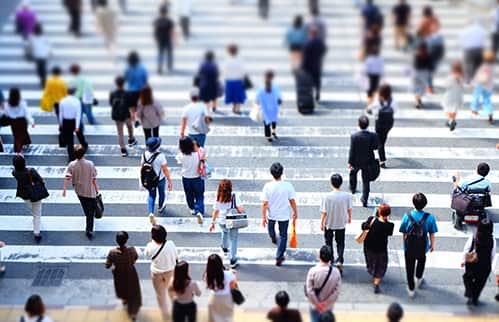 世界における日本需要イメージ